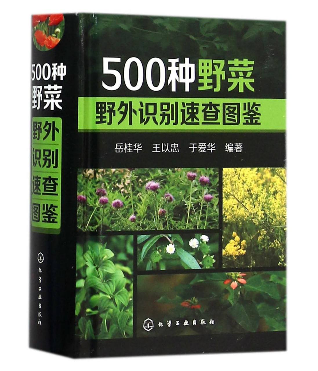 500种野菜野外识别速查图鉴，102M